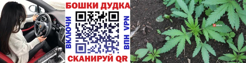 Шишки марихуана Ganja  Ленинградская 
